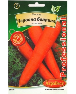 Морква Червона Бояриня
