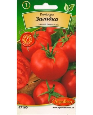 Помідори Загадка