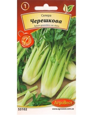 Селера черешкова