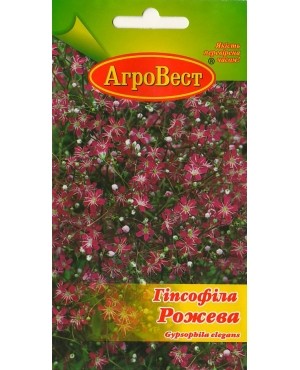 Гіпсофіла Рожева