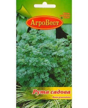 Рута садова