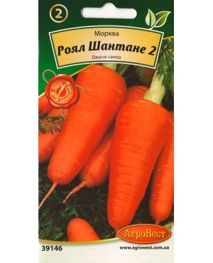 Морква Роял Шантане 2