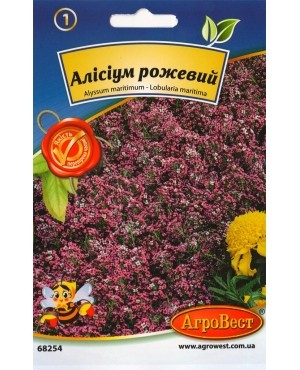Алісіум рожевий