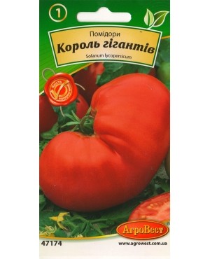 Помідори Король гігантів