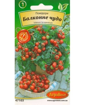 Помідори Балконне чудо