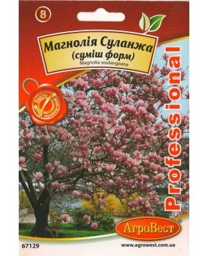 Магнолія Суланжа