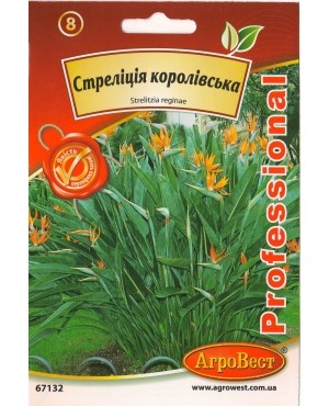 Стреліція королівська