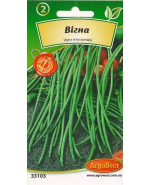 Вігна