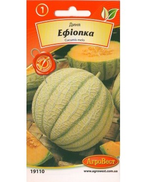 Диня Ефіопка